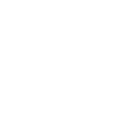 logo leroymerlin